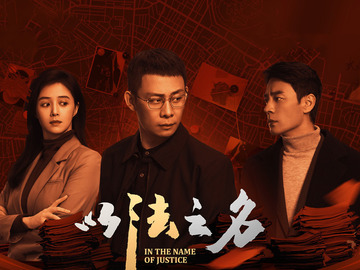 以法之名 杨烁