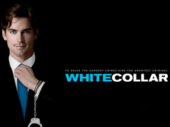 妙警贼探第五季