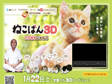 小猫跳出来3D 伊武雅刀