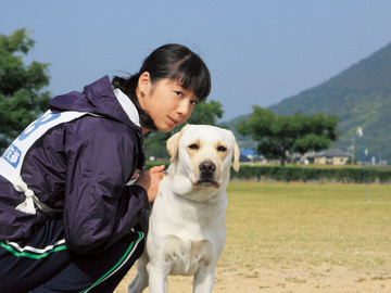 菜鸟警犬的梦想 山本裕典