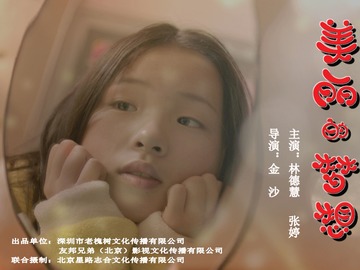 美丽的梦想 张婷