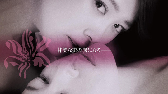 白百合之恋剧情介绍