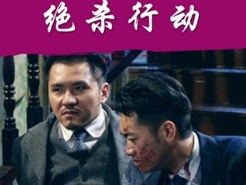 绝杀行动 王泽霖