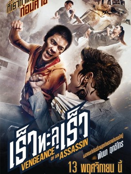 刺客复仇(电影)