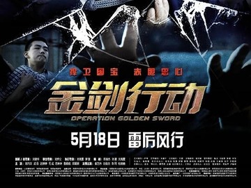 金剑行动 刘向京
