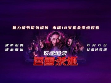 疾速追杀：芭蕾杀姬 崔秀英