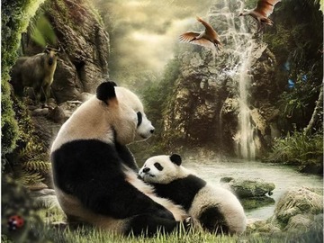 熊猫奇遇记 王凯