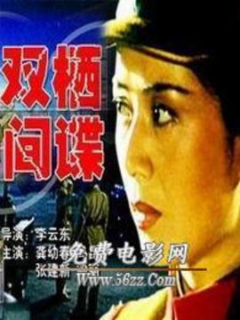 双栖间谍(电影)