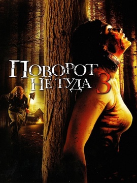 致命弯道3(电影)