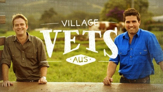 Village Vets的投票_电视猫