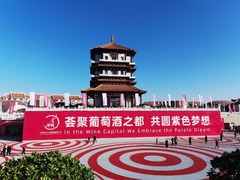 贺兰山东麓国际葡萄酒博览会