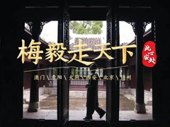 梅毅走天下·此心安处