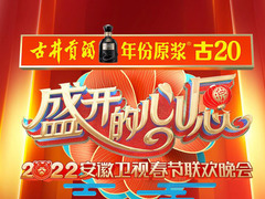 安徽卫视春节联欢晚会