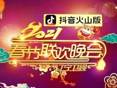 辽宁卫视春节联欢晚会