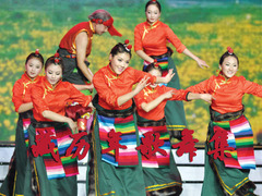 藏历新年联欢晚会