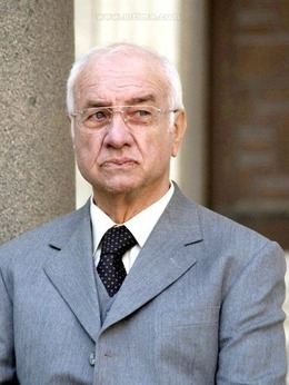 威廉&middot;韦克斯勒（阿明&middot;缪勒&middot;斯塔尔饰演）