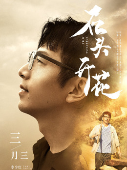 石头开花演员表,全部演员表,演员人物介绍_电视剧_电视猫