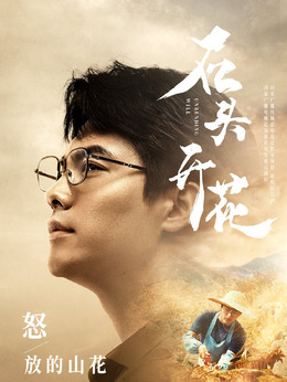 石头开花演员表