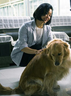 苗姐(陈冲饰演)