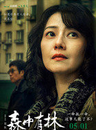 王秀义(高圆圆饰演)
