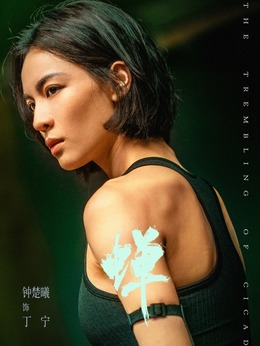 丁宁