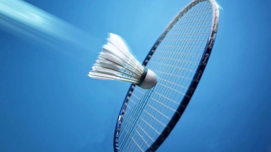 世界羽毛球锦标赛