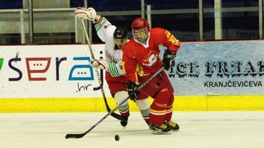 世界冰球锦标赛