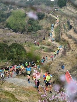 中国&middot;奉化海峡两岸山地桃花马拉松