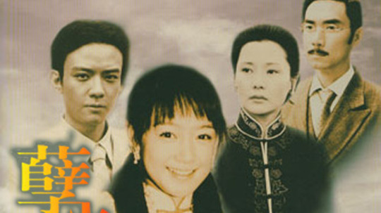 孽火（2005年电视剧）