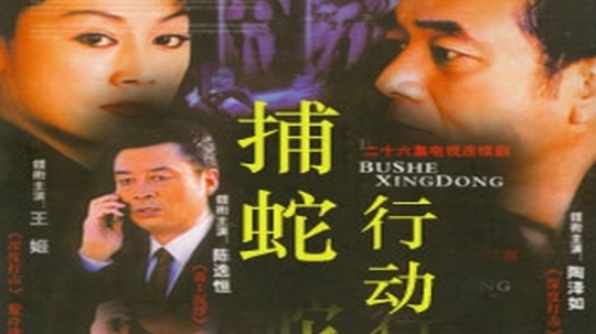 捕蛇行动（2005年电视剧）