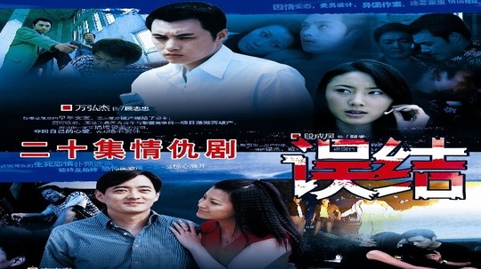 误结（2007年电视剧）