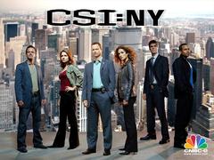 犯罪现场调查:纽约第二季 加里·西尼斯