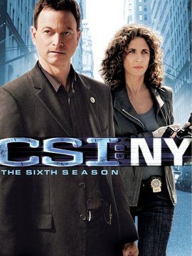 犯罪现场调查:纽约第六季