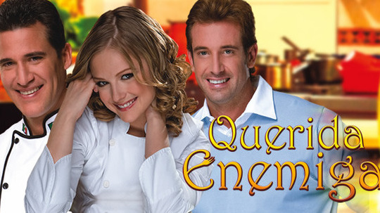 亲爱的冤家（2008年电视剧）