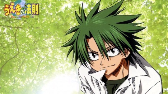 植木的法则（2005年电视剧）