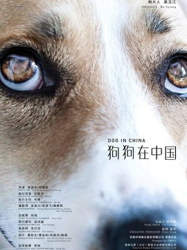 狗狗在中国