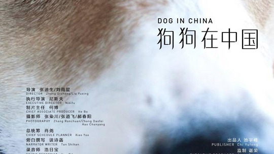 狗狗在中国（2016年电视剧）