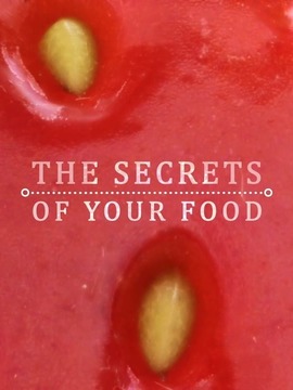 食物的秘密