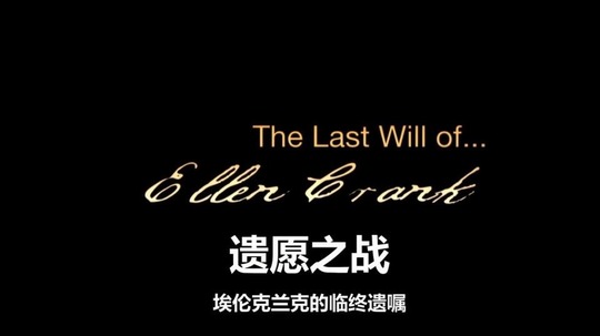 遗愿之战（2014年电视剧）