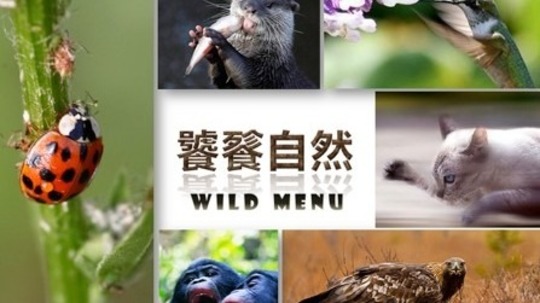 饕餮自然（2014年电视剧）