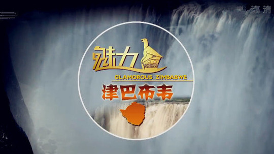 魅力津巴布韦（2015年电视剧）