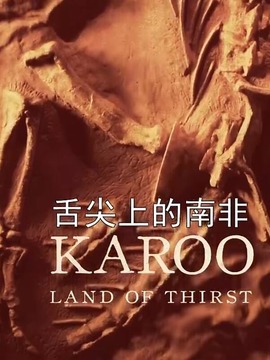 舌尖上的南非