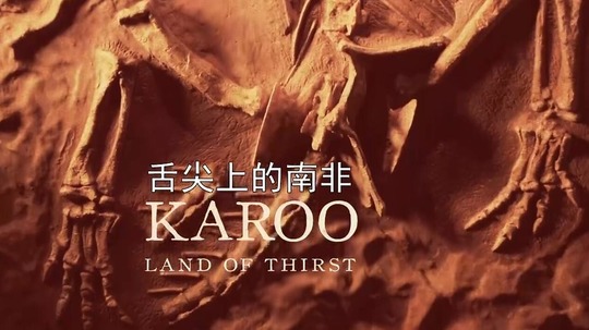 舌尖上的南非（2016年电视剧）