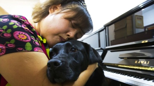 导盲犬珍妮（2015年电视剧）