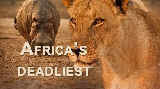 非洲最致命动物（2016年电视剧）