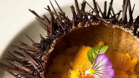 主厨的餐桌第一季（2015年电视剧）