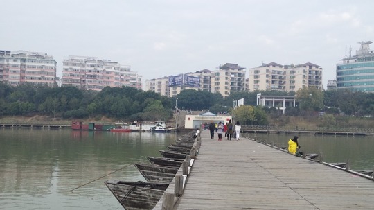 浮城探秘（2017年电视剧）