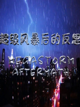 超级风暴后的反思