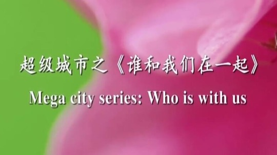 谁和我们在一起（2016年电视剧）