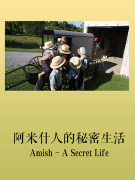 阿米什人的秘密生活